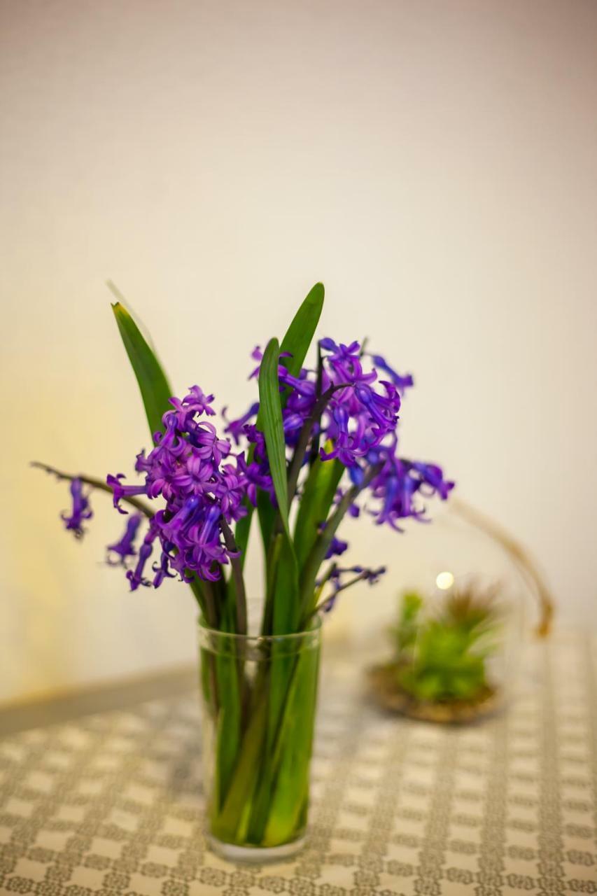 Artemida Apartment Tbs Tiflis Dış mekan fotoğraf
